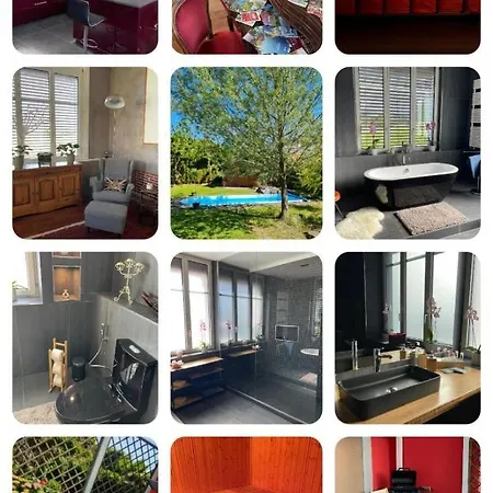 Exclusive Swiss Loft * Lütisburg
